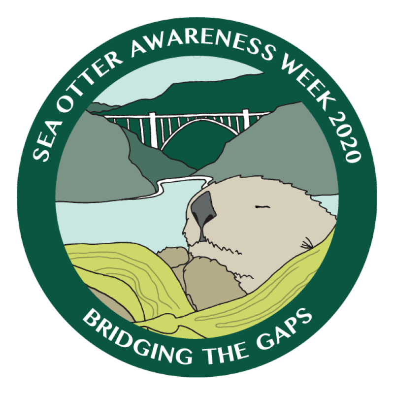 Sea Otter Awareness Week | Defenders of Wildlife